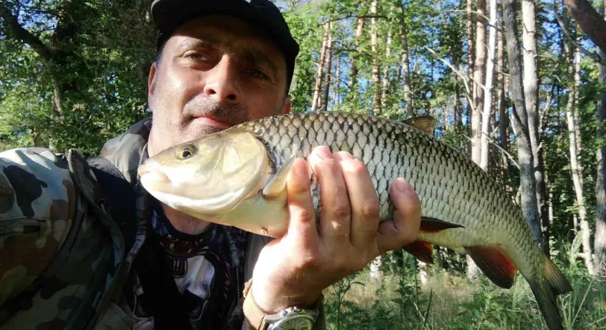 Szczęśliwy wędkarz prezentuje okazałego klenia złowionego na smużaki.