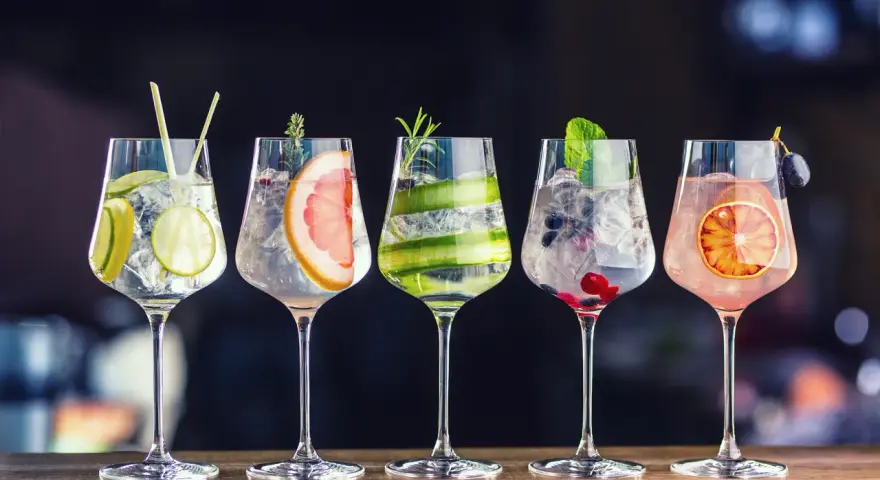 Pięć drinków z wódką i ginem, ozdobionych owocami i ziołami, na eleganckim tle.