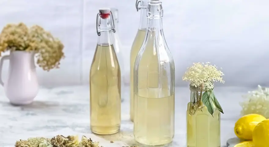 Flaschen mit hellem Holunderblütensirup, bereit zum Holunderschnaps ansetzen. Getrocknete Blüten, Zitronenscheiben und frische Blüten zieren die Szene.