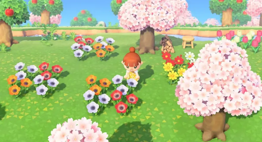 Una jugadora de Animal Crossing New Horizons admira un campo de flores de cerezo y anémonas de colores.