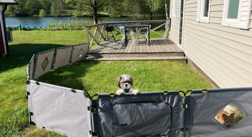 En söt hund vaktar sin campingstuga vid en sjö.