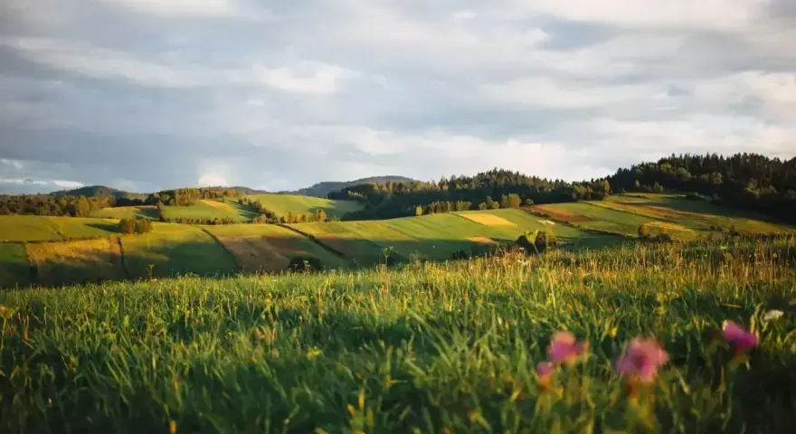 Zielone wzgórza, pola i lasy w słońcu. Idealne miejsce, by zastanowić się, gdzie najbliżej w góry z łodzi.