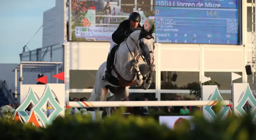 Un cavalier et son cheval gris, levis de muze, franchissent un obstacle lors d'une compétition d'équitation.