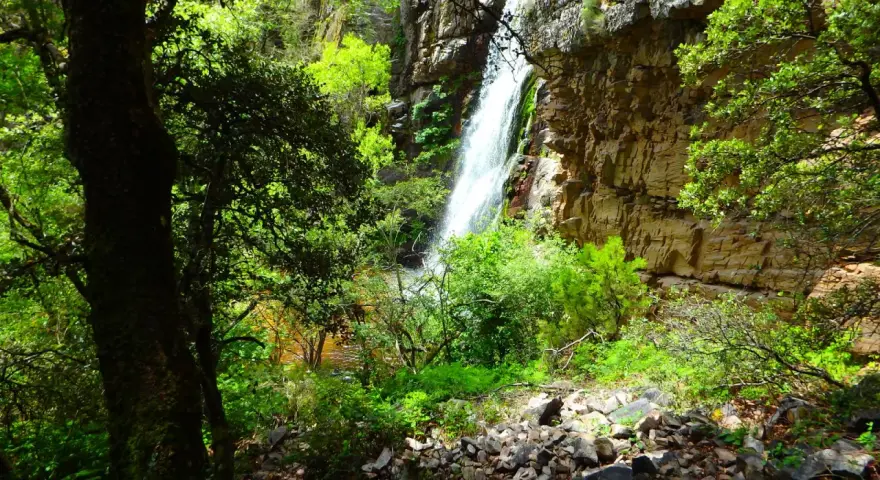 Cascada en la sierra de Ayllón, rodeada de vegetación frondosa y rocas. El agua cae por un acantilado rocoso, creando un paisaje natural impresionante.