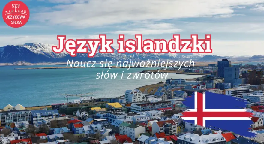 Język islandzki: naucz się najistotniejszych słów i zwrotów, by poczuć się jak mieszkaniec Reykjaviku.
