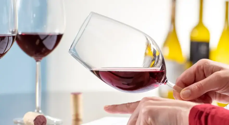 Degustazione di vino rosso. Un enologo esperto valuta il colore e la limpidezza, pronto per nuove sfide. Cerco lavoro enologo.