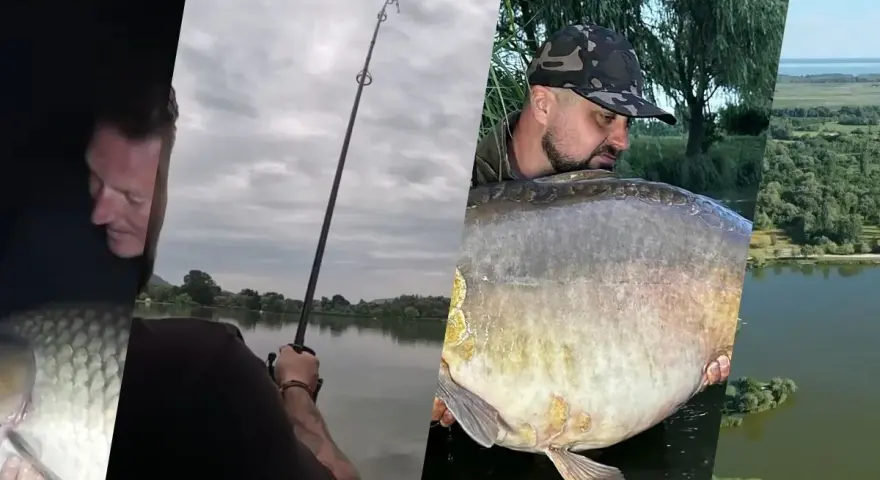 Wędkarze z wielkimi karpiami nad jeziorem. Euro aqua to ich pasja.