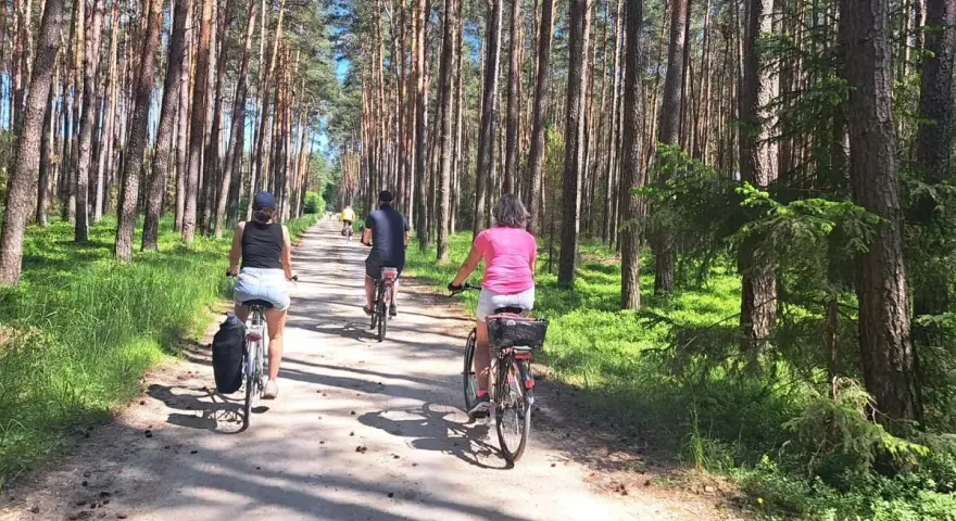 Rodzina na rowerach przemierza leśną ścieżkę. Słońce przebija się przez drzewa, tworząc cień. To idealne miejsce na **velo tatry** i aktywne spędzanie czasu.
