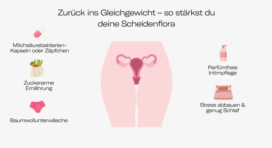 Grafik zeigt, wie man die Scheidenflora stärkt: Milchsäurebakterien, zuckerarme Ernährung, Baumwollunterwäsche, parfümfreie Intimpflege, Stressabbau. Dies hilft, eine Ursache für Scheidenpilz zu vermeiden.