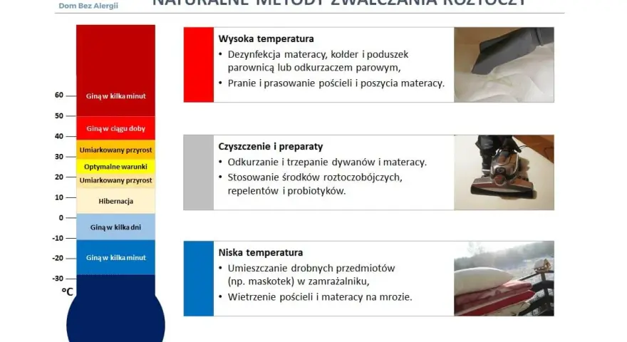 Enterokoki giną w temperaturze poniżej -20°C, co pokazuje wykres. Niska temperatura, nawet -20°C, zabija je w kilka minut.