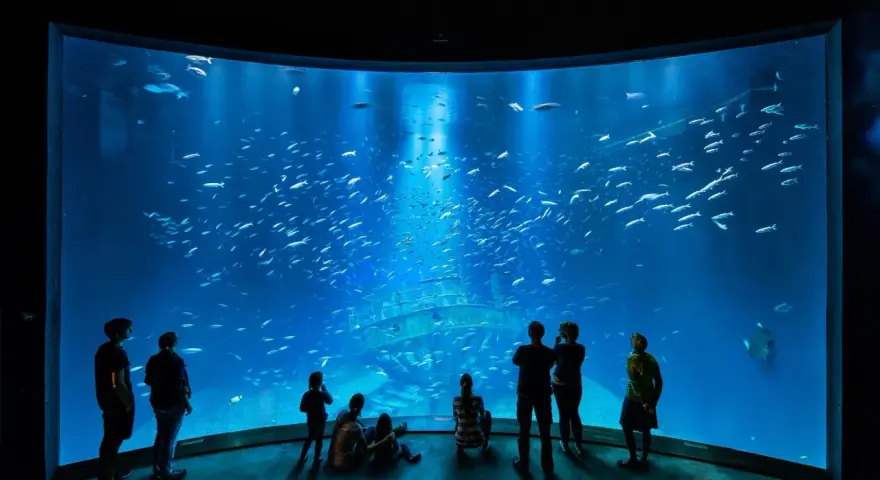 Menschen bestaunen ein riesiges Aquarium mit einem Schiffswrack und Fischschwärmen. Perfekte Ausflugsziele Ostsee bei schlechtem Wetter.
