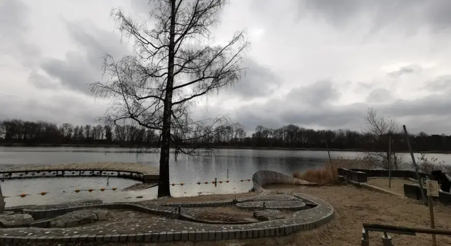 Ein kahler Baum am Ufer des Baggersees Grenis. Eine Holzplattform ragt ins Wasser, das von einer Bojenkette begrenzt wird. Sandiger Strand mit steinernen Sitzgelegenheiten.