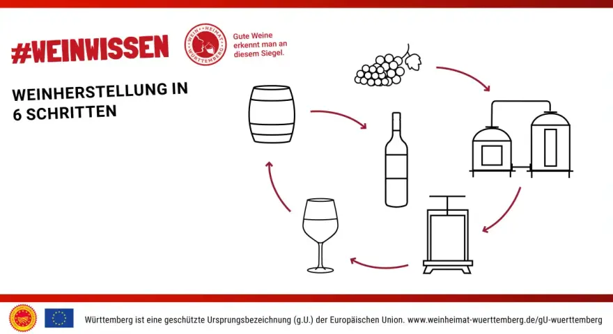 Illustration zeigt die **Weinherstellung Schritte**: Trauben, Presse, Flasche, Fass und Tanks.