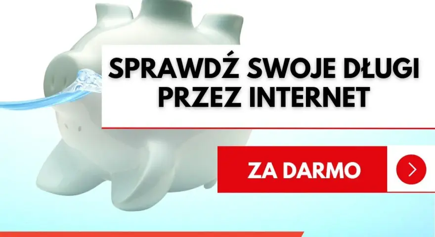 Świnka skarbonka tonie w wodzie. Napis: "Sprawdź swoje długi przez internet". Dowiedz się, jak sprawdzić czy ktoś ma komornika.