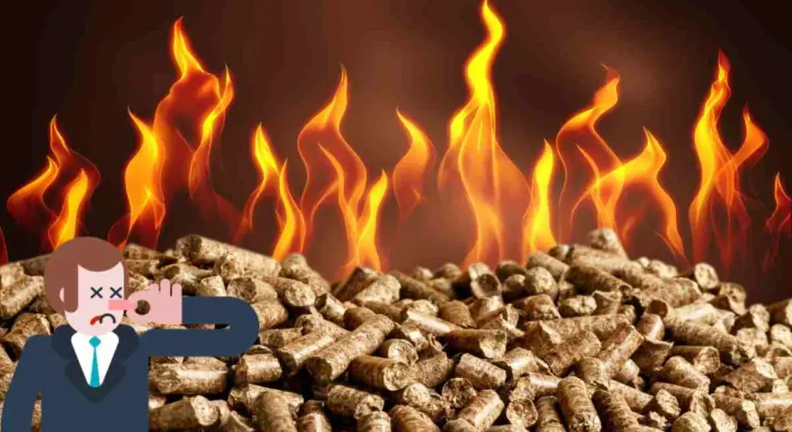 Uomo con naso tappato su mucchio di pellet, fiamme sullo sfondo. La stufa pellet puzza da spenta.