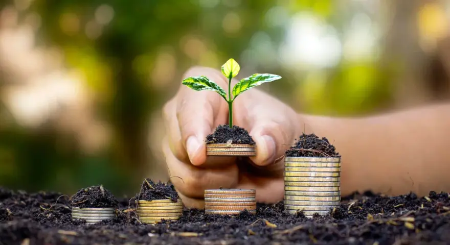 Una mano sostiene una planta joven brotando de monedas apiladas, simbolizando el crecimiento y la inversión en hostelería sostenible.