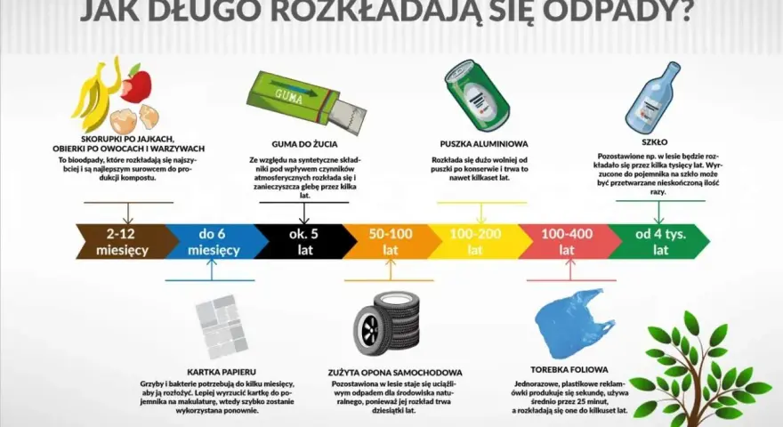 Guma do żucia rozkłada się przez kilka lat, zanieczyszczając glebę.