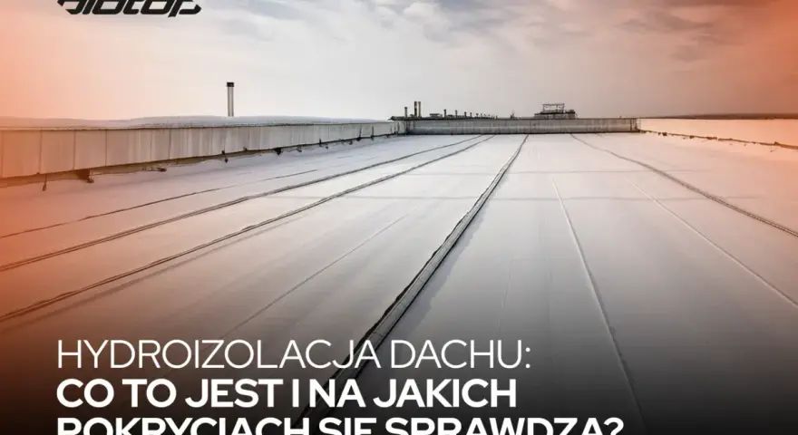 Malowanie dachu: Jaka dysza do agregatu? Poradnik eksperta