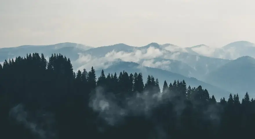 Mgliste góry sowie, zalesione zbocza i doliny, tworzą malowniczy krajobraz.
