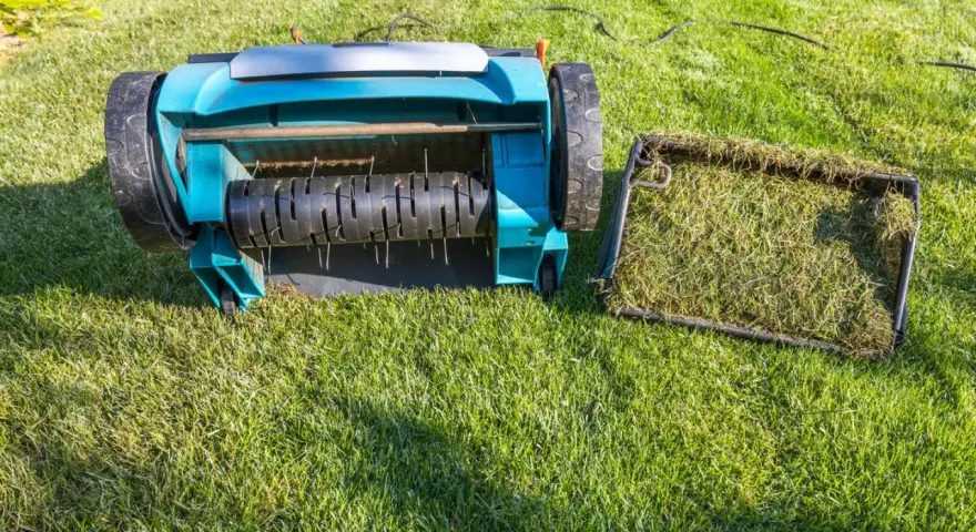 Rasenpflege: Vertikutierer mit Fangkorb voller Moos und Gras. Ob vor oder nach dem **rasen kalken**, das Gerät ist bereit.