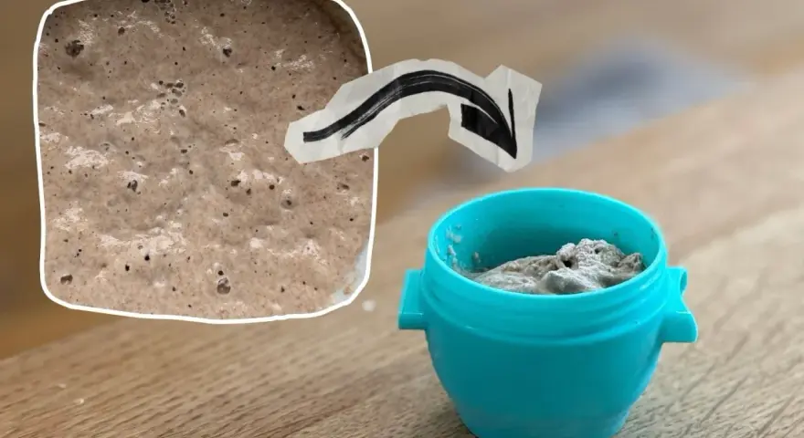 Sauerteig im Urlaub: Ein kleiner Behälter mit Sauerteig-Starter wartet auf seine nächste Fütterung.