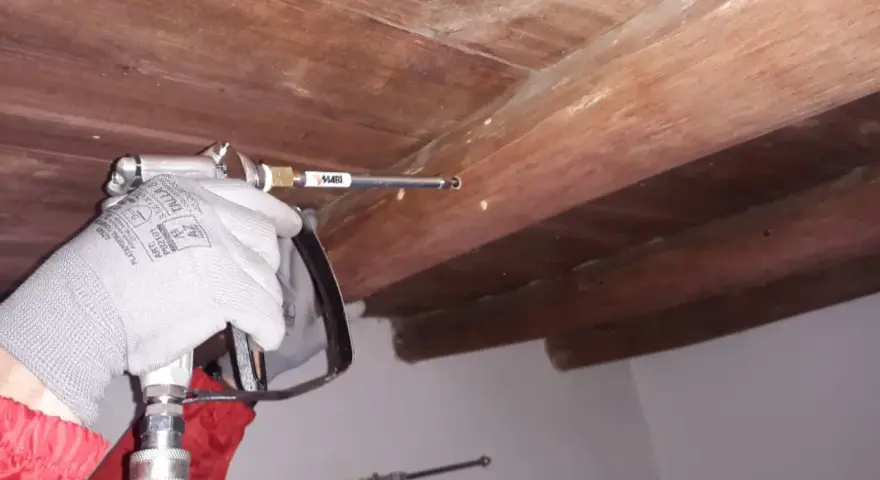 Aplicando ácido bórico para termitas en vigas de madera.
