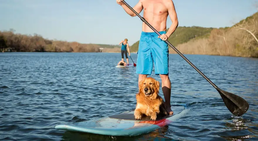 Mann mit sup hund krallen auf dem See. Ein Mann und sein Hund genießen das Stand-Up-Paddling.