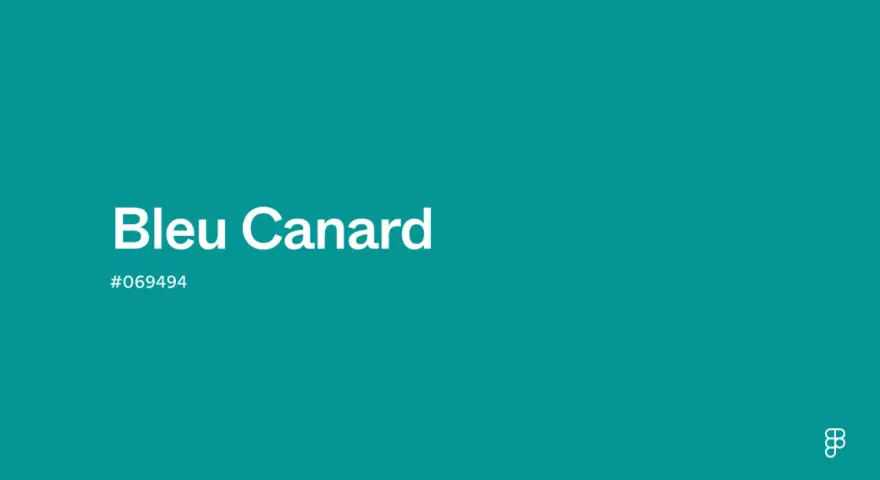 Un fond d'une teinte profonde de bleu canard ou vert canard, avec le texte "Bleu Canard" et le code hexadécimal #069494.