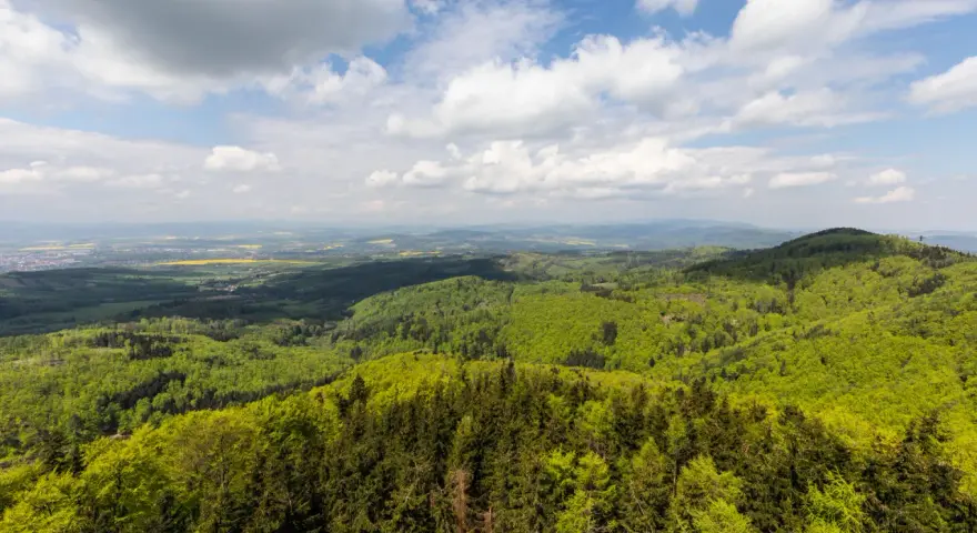 Widok z góry na zielone lasy i pola, idealny na kłodzka góra trasa.