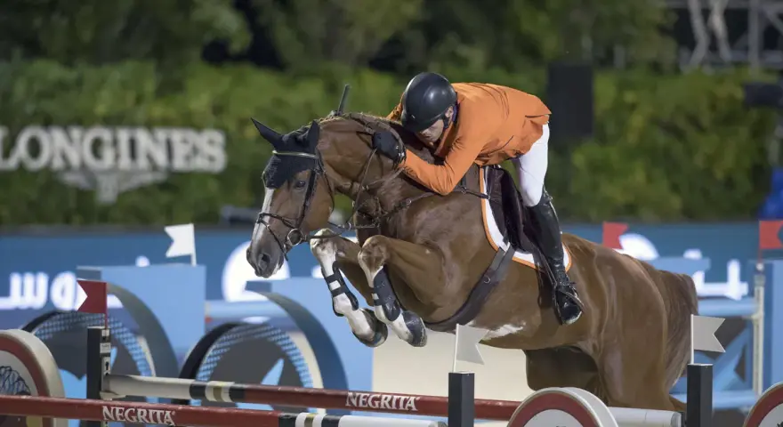 Un cavalier en orange et un cheval brun sautent un obstacle. Le cheval, d'une robe rappelant l'émeraude, semble voler.