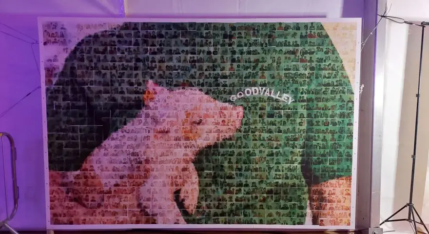 Wielki fotokolaż przedstawiający świnię i napis "GOODVALLEY", stworzony z tysięcy małych zdjęć ludzi.