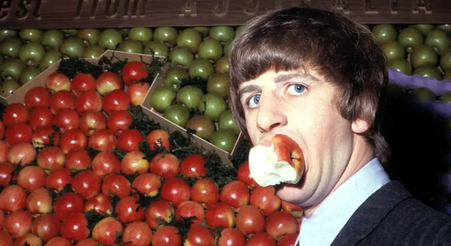 Ringo Starr, perkusista The Beatles, gryzie jabłko na tle stosów czerwonych i zielonych owoców.