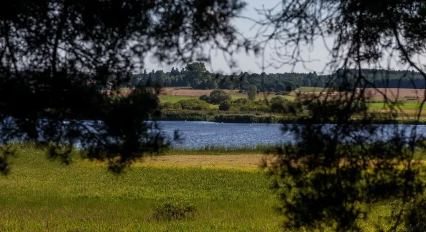 Spokojne jezioro krąg otoczone zielenią, z ptakami pływającymi na wodzie, widziane przez gałęzie drzew.