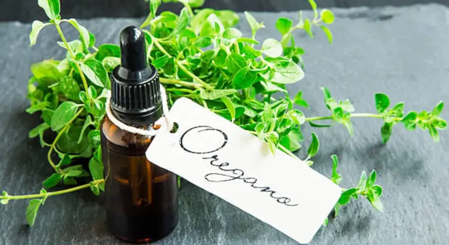 Frasco de aceite de orégano con ramitas frescas de la hierba. La etiqueta blanca dice "Oregano".