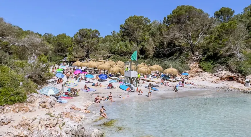 Słoneczna plaża z turkusową wodą, parasolami i ludźmi wypoczywającymi na piasku. To jedno z najpiękniejszych miejsc na Majorce.