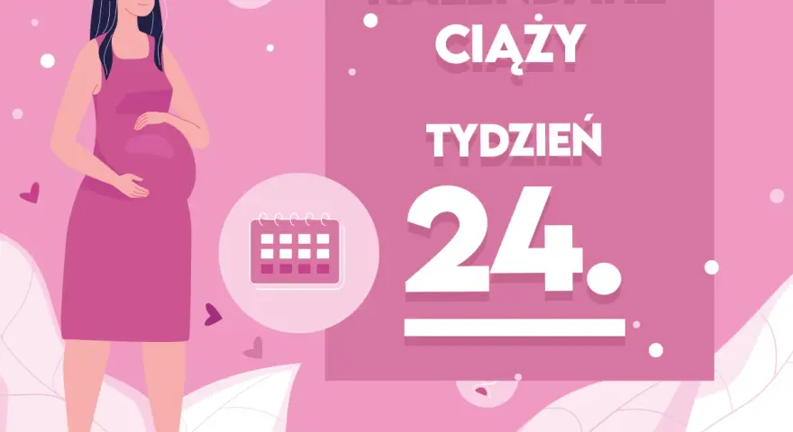 Kobieta w 24 tygodniu ciąży, z brzuszkiem. Obok kalendarz i napis "Kobieta w 24 tygodniu ciąży".