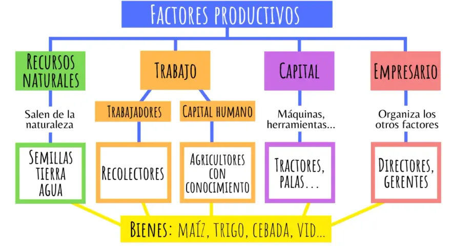 Diagrama de los factores productivos de una empresa: recursos naturales, trabajo, capital y empresario, que generan bienes como maíz y trigo.