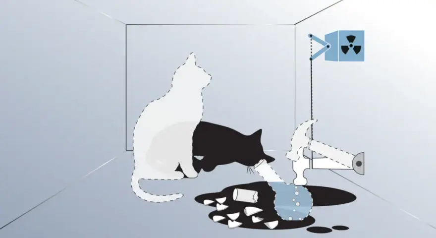 Schrödingers Katze: Ein weißer und ein schwarzer Katzenumriss in einer Box, daneben ein Hammer, ein Behälter mit radioaktivem Symbol und zerbrochenes Glas.