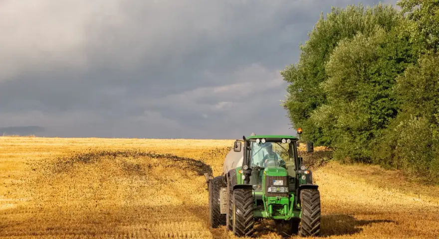 Biologiczne nawożenie pól: jak naturalnie poprawić żyzność roli?