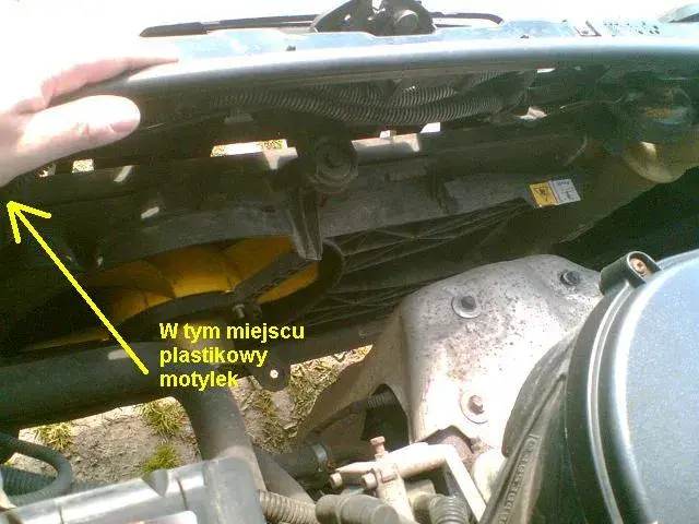 Jaki płyn do chłodnicy Fiat Grande Punto? Uniknij kosztownych błędów