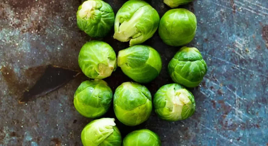 Frischer Rosenkohl liegt auf dunklem Untergrund. So lagern Sie Rosenkohl richtig für maximale Frische.