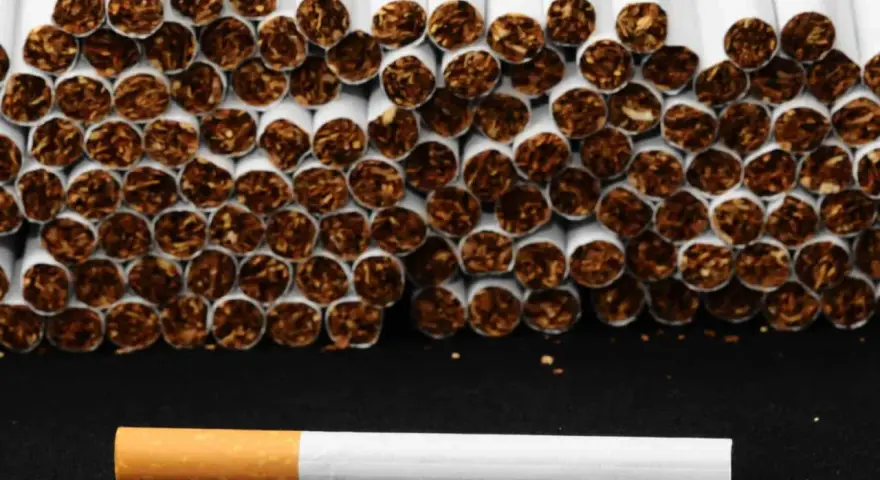 Una hilera de cigarrillos apilados, con uno solo al frente. El tabaco es malo, y la nicotina es adictiva.