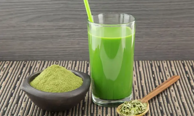 Moringa na odchudzanie jak stosować - skuteczne metody i dawkowanie