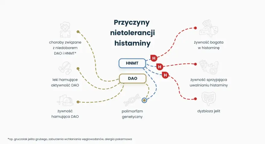 Schemat wyjaśnia, co to jest histamina i jej nietolerancja, wskazując na przyczyny: niedobór DAO/HNMT, leki, polimorfizm genetyczny, żywność bogatą w histaminę, uwalniającą histaminę, oraz dysbiozę jelit.