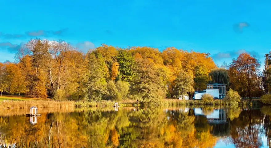 Herbstliche Farben im Schlosspark Putbus spiegeln sich im ruhigen Wasser. Ein kleiner Pavillon und ein modernes Gebäude säumen das Ufer.