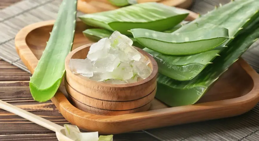 Aloe vera fresco en trozos, ideal para aliviar el picor en el cuero cabelludo. Remedios caseros naturales.
