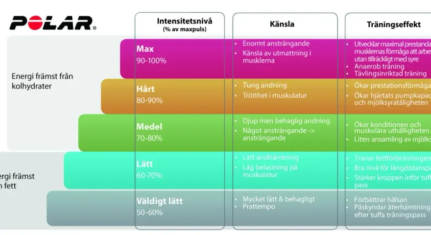 Polar-diagram som visar intensitetsnivåer, känsla och träningseffekt. Pulsson 3 (medel, 70-80%) ökar kondition och muskulär uthållighet.