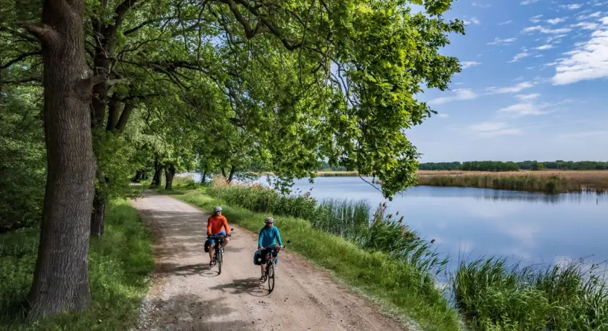Dolina Baryczy: Trasy rowerowe dlaczego to rowerowy raj?