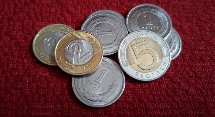 Monety złotowe, które mogą posłużyć jako darowizna dla siostrzenicy. Pamiętaj o podatku od darowizny.