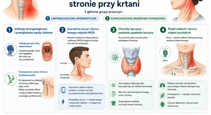 Anatomia szyi z boku, pokazująca budowę mięśni i struktur, które mogą powodować ból po lewej stronie krtani.